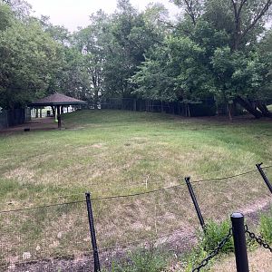 Open Range - Plains Pronghorn Exhibit