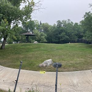 Open Range - Plains Pronghorn Exhibit