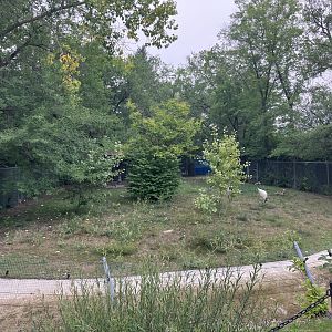 Open Range - Red-Crowned Crane Exhibit