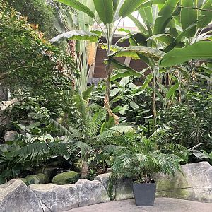 Tocan Ridge - Main Atrium