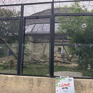 Toucan Ridge - Outdoor Ring-Tailed Lemur Exhibit