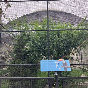 Toucan Ridge - Toco Toucan Exhibit