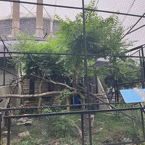 Toucan Ridge - Great-Horned Owl Exhibit