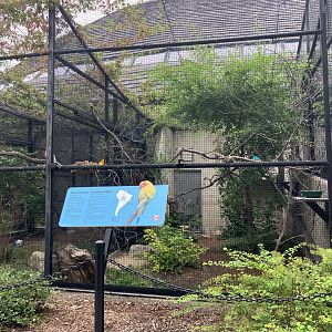 Toucan Ridge - Sun Conure Exhibit