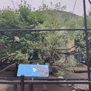Toucan Ridge - Outdoor Patagonian Mara/Guianan Squirrel Monkey/Blue-Billed Curassow Exhibit