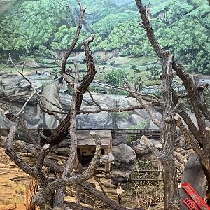 Kinsmen Discovery Center - Prehensile-Tailed Porcupine Exhibit