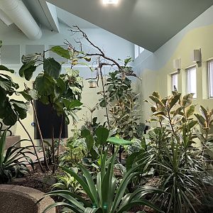 Kinsmen Discovery Center - Aviary