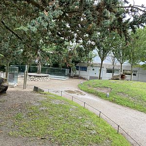 Grey kangaroo walkthrough 2023