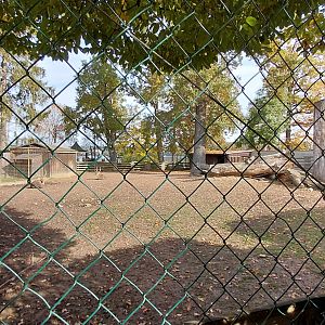 Vietnamese sika deer exhibit