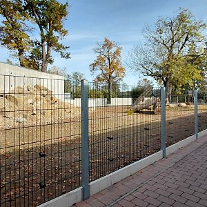 Przewalski's horse exhibit