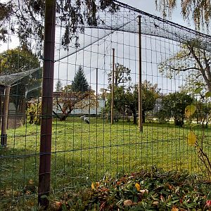 Crane + waterfowl aviary