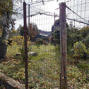 Crane + waterfowl aviary