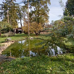 Crane + waterfowl aviary