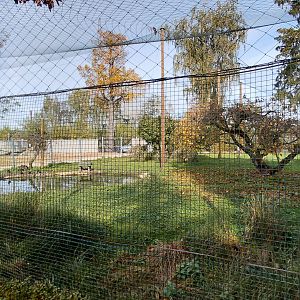 Crane + waterfowl aviary