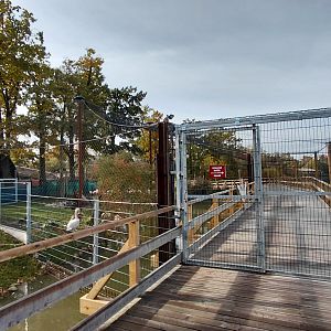 Pelican + flamingo walk-in aviary