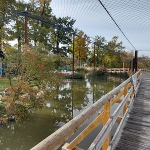 Pelican + flamingo walk-in aviary