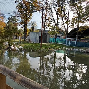 Pelican + night heron exhibit