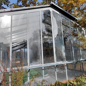 Greater flamingo indoor exhibit