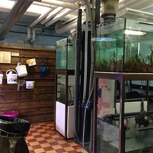 Marine departement backstage 2016