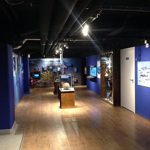 Aquarium hall 2016