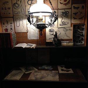 Entry to Madagascar 2016