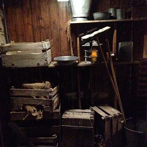 Black rats inside shop at entry to Madagascar 2016