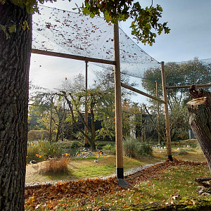 Waterbird walkthrough aviary