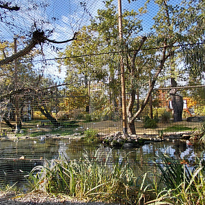 Waterbird walkthrough aviary