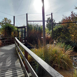 Waterbird walkthrough aviary