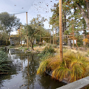 Waterbird walkthrough aviary
