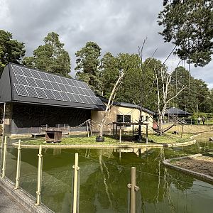 White cheeked gibbon and asian small clawed otter