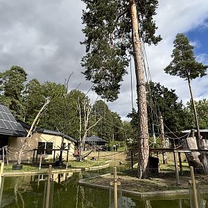 White cheeked gibbon and asian small clawed otter