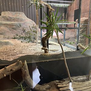 Komisk dragon indoors