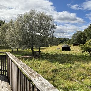 Old Savannah that now houses sheep