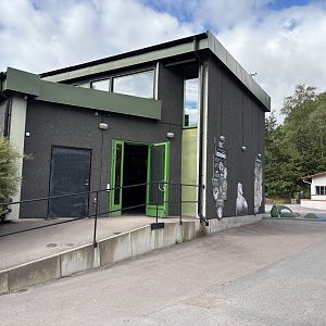 Southern tamandua complex