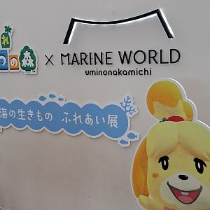Animal Crossing Aquarium Tour