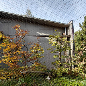 Barn owl + common kestrel exhibit