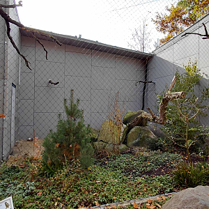 Eurasian eagle-owl exhibit
