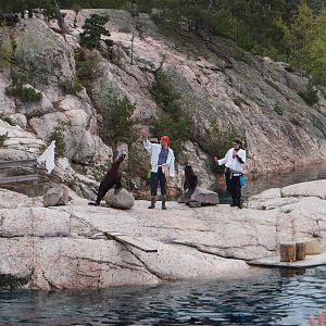 Seal demonstration 2015