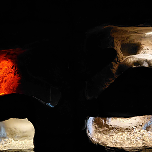 European badger dens