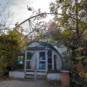 Czech forest - walkthrough aviary