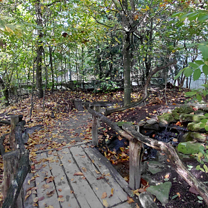 Czech forest - walkthrough aviary