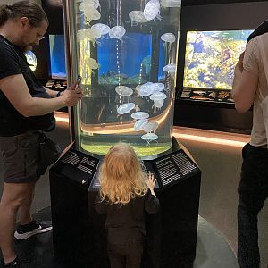 Baltic sea center 2022