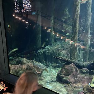 Baltic sea center 2022