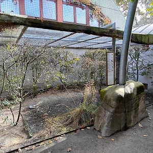 Czech forest - small birds aviary