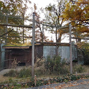 Partridge + roller aviary