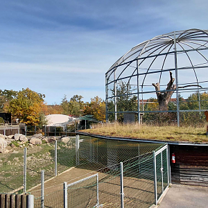 Caucasian tur exhibit + eagle aviary