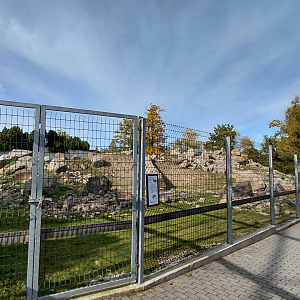 West Caucasian tur exhibit