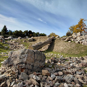 West Caucasian tur exhibit