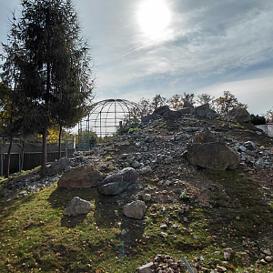 West Caucasian tur exhibit